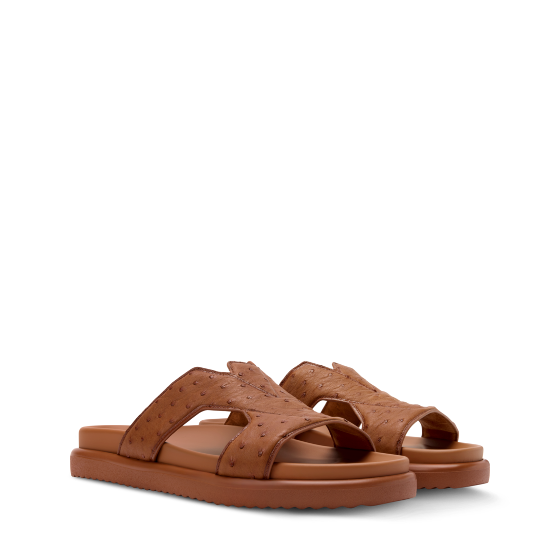 louis-vuitton--